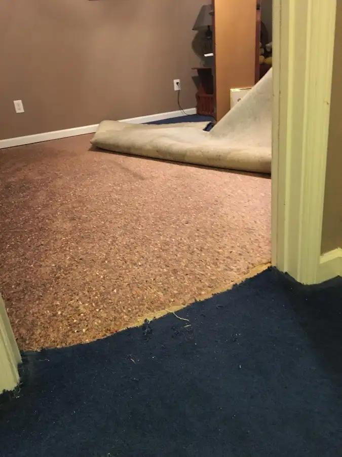 Carpet pad removal revealing water damage during Drying & Dehumidification in Norwell