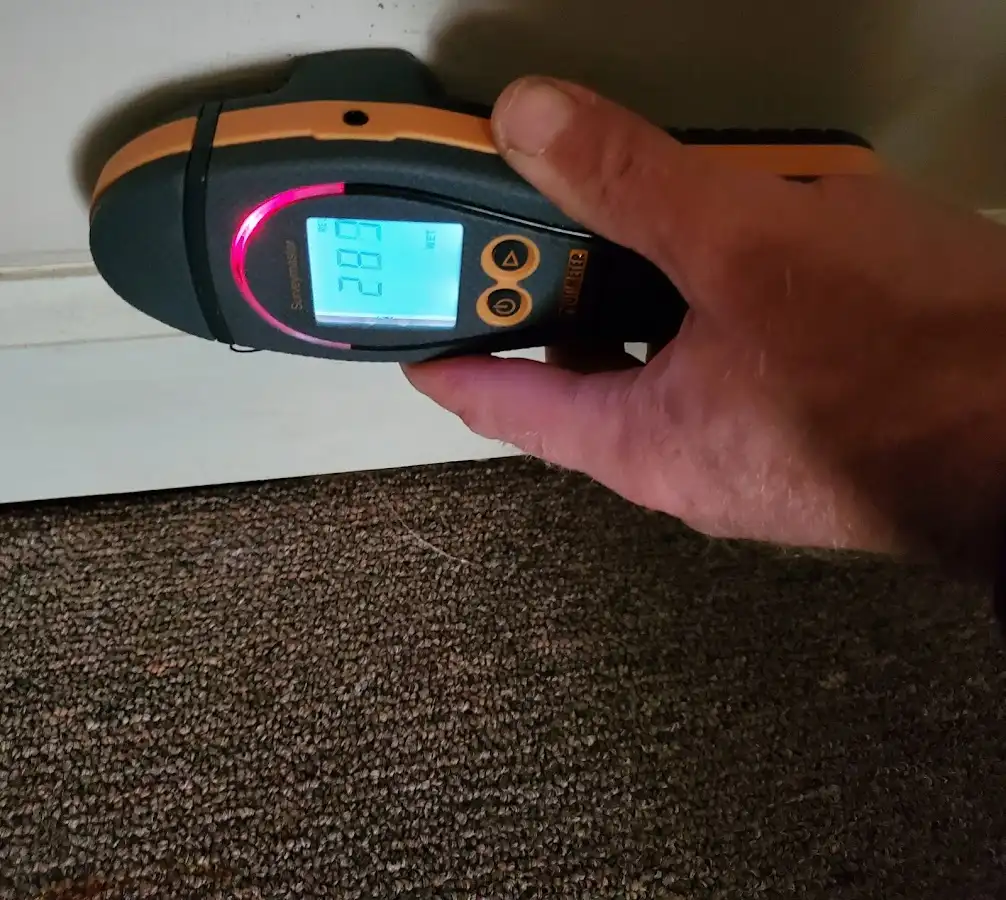 Moisture detection at baseboard during Sewage Cleanup & Sanitation in Norwell